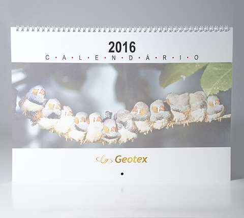 Galeria