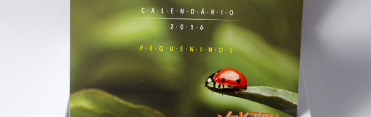Gráfica para calendário de parede